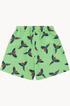 Boys Macaw Boardshort|Babes In The Shade Online