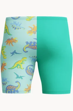 Boys Print Jammer|Speedo Clearance