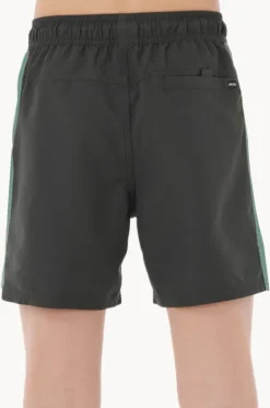 Boys Tropic Daze Panel Volley Boardshort|Rip Curl Best
