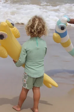 Finn The Fish Inflatable Noodle Set|Sunny Life Best