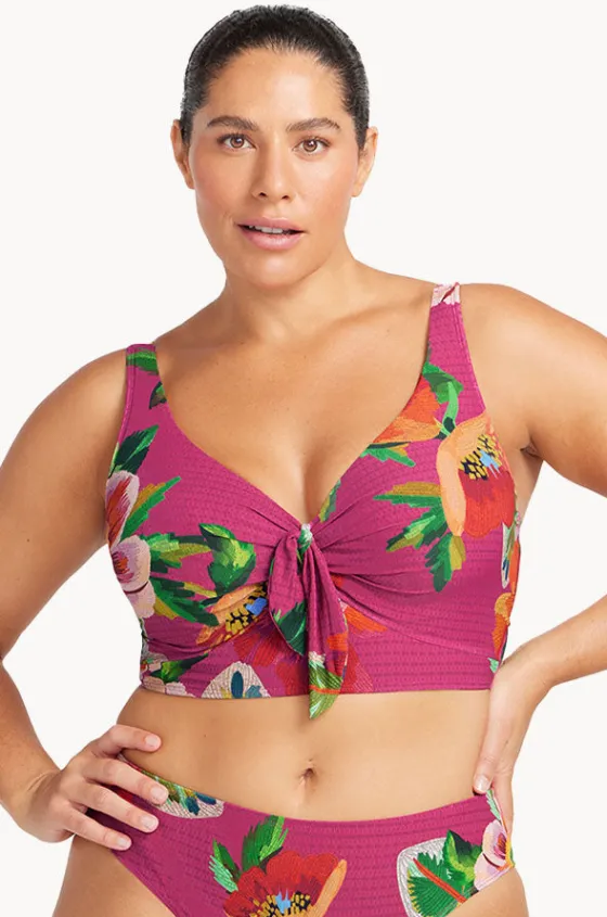 Le Recife Cezanne D/DD Cup Midriff Bra|Artesands New