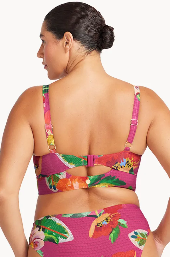 Le Recife Cezanne D/DD Cup Midriff Bra|Artesands New