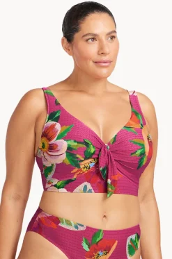 Le Recife Cezanne D/DD Cup Midriff Bra|Artesands New