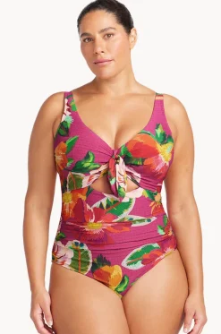 Le Recife Cezanne D/DD Cup One Piece|Artesands Sale
