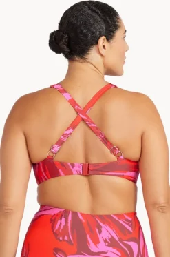 Les Fauves Botticelli Bra|Artesands Sale