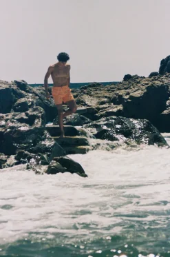 Mens Coffs Sydney Boardshort|Coast Discount