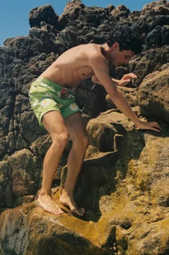 Mens Daisy Classic Boardshort|Coast Clearance