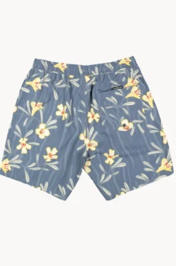 Mens Everyday Straight Volley 17" Boardshort|Quiksilver Best