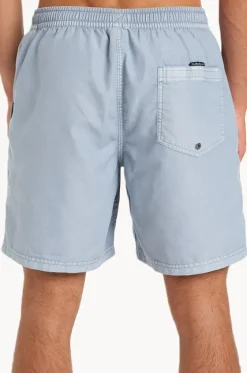 Mens Everyday Surfwash Volley 17" Boardshort|Quiksilver