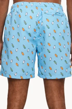 Mens Ice Swim Short|Urban Classics New