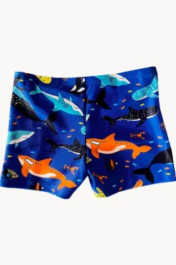 Toddler Boys Shark Aquashort|Speedo New