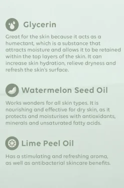 Watermelon & Lime Sanitiser Spray|Al.ive Body Hot